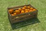 oranges-box-03-ssltpp.jpg